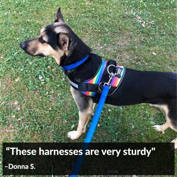 Joy Ride Other - Joy Ride Rainbow Dog Harness NWOT Size: Medium (20-40lbs)